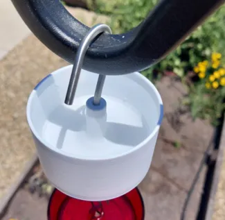 Hummingbird feeder Ant Moat