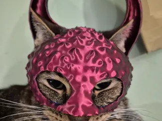 Devil Cat Helmet