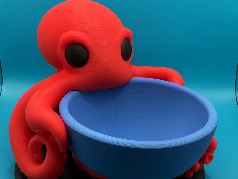Pulpo Guardacosas