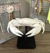0.2mm layer, 3 walls, 15% infill