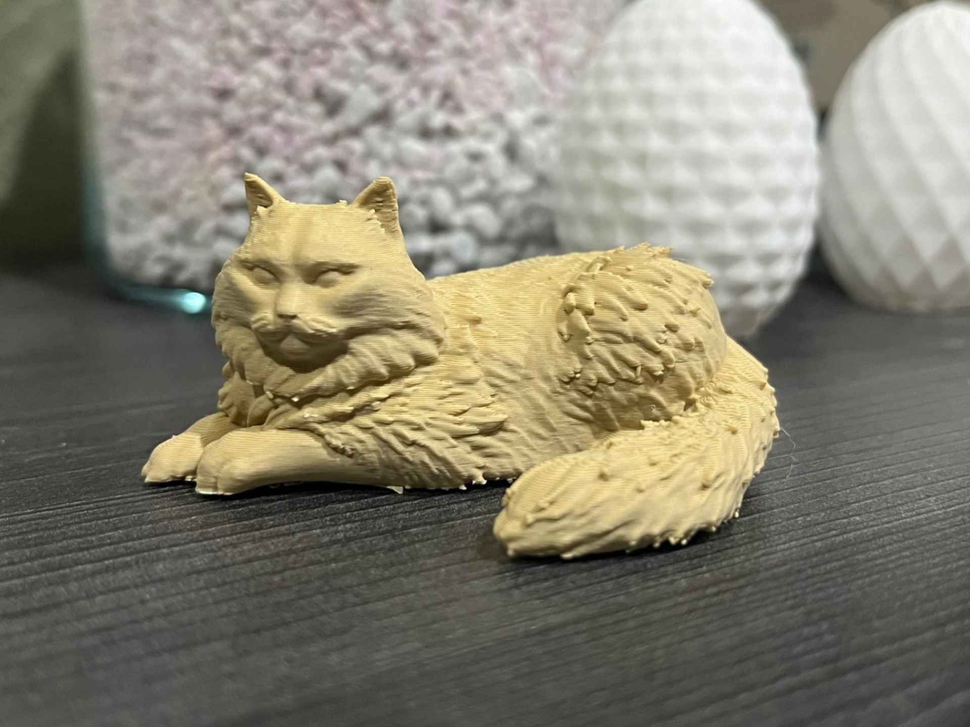 Sibirian Cat - lying