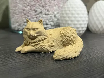 Sibirian Cat - lying