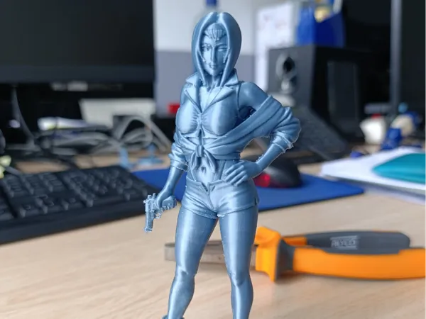https://makerworld.bblmw.com/makerworld/model/US73060e784394b2/design/2025-12-16_5a433eb0432898.jpg