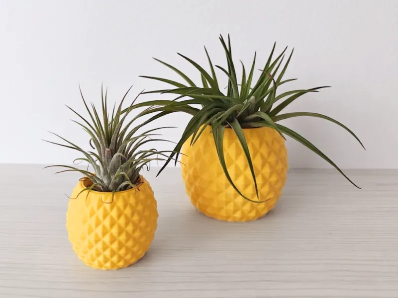 Pineapple planter for succulents and air plants
