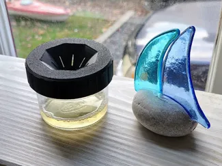 Fruit Fly Trap Lid