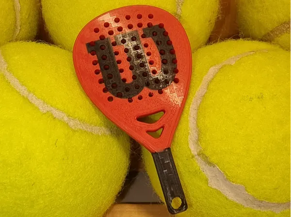 https://makerworld.bblmw.com/makerworld/model/US731267a2046263/design/2025-03-05_412b82bbd0568.jpg