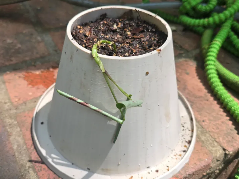 Untippable planter pot