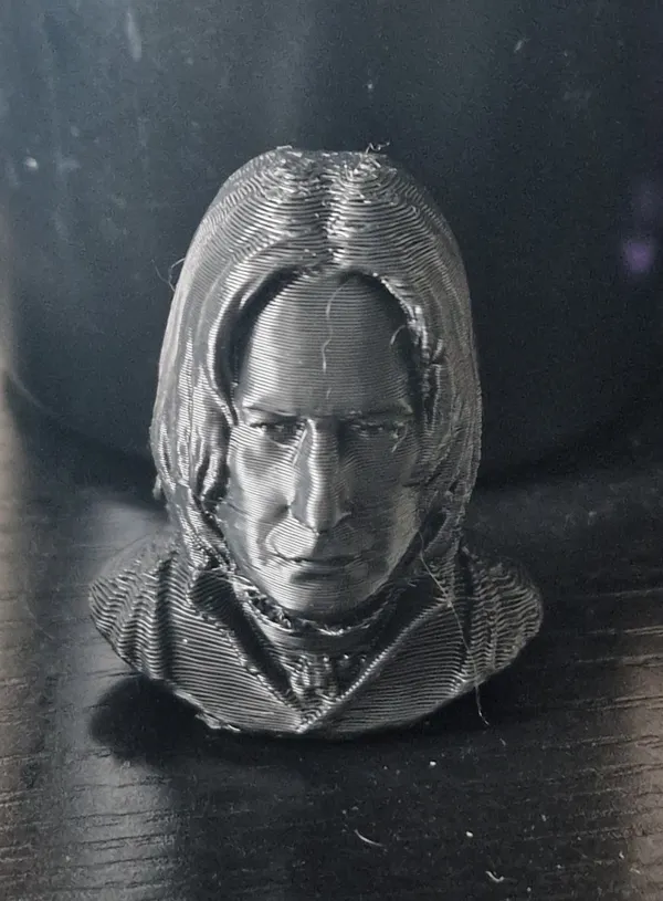 https://makerworld.bblmw.com/makerworld/model/US7316b998aeb356/design/2024-04-14_09acb58405297.jpg