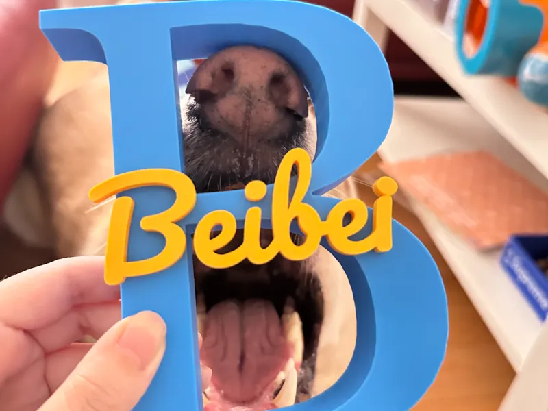 B FOR BEIBEI