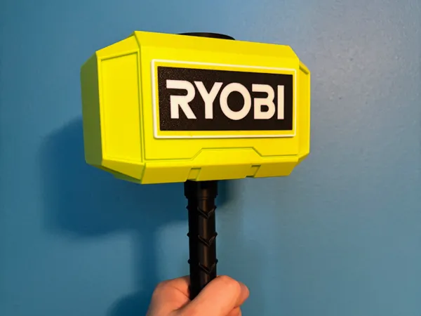 https://makerworld.bblmw.com/makerworld/model/US731ca59db91d4d/design/2025-02-21_22b1224cc7379.jpg