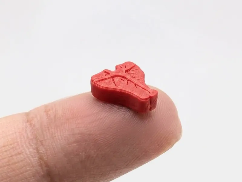 The smallest steak in the world (Nozzle 0.4)