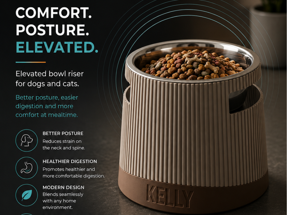 Customizable Pet Bowl Stand / Feeder - 1