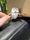 Little Bear Owl