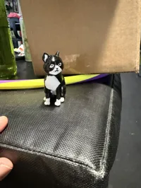 Little Bear - Cat
