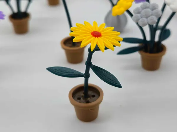 https://makerworld.bblmw.com/makerworld/model/US732c789cec2c9c/design/2025-02-18_2e3c81019abb6.jpg