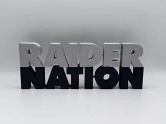 RAIDER NATION Wordmark Desk Ornament Decoration 