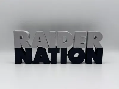 RAIDER NATION Wordmark Desk Ornament Decoration