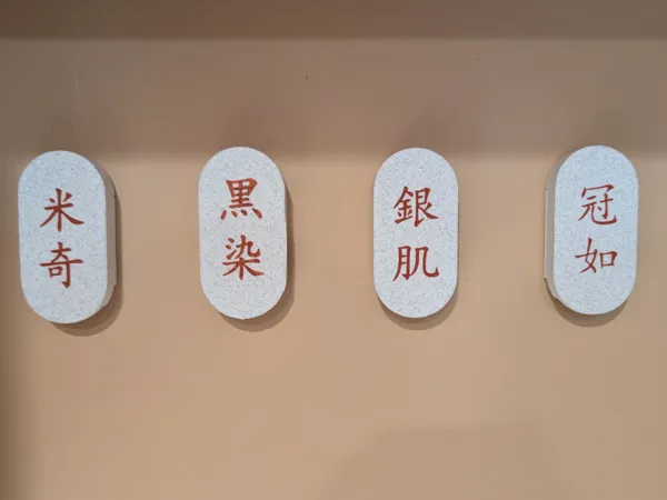 https://makerworld.bblmw.com/makerworld/model/US7335216486107f/design/d05991a5954a951b.jpg