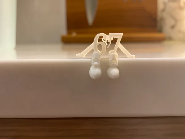 https://makerworld.bblmw.com/makerworld/model/US733a2318ed640/design/2025-12-06_44df65910ea998.jpg