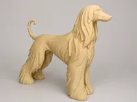 Elegant Afghan Hound