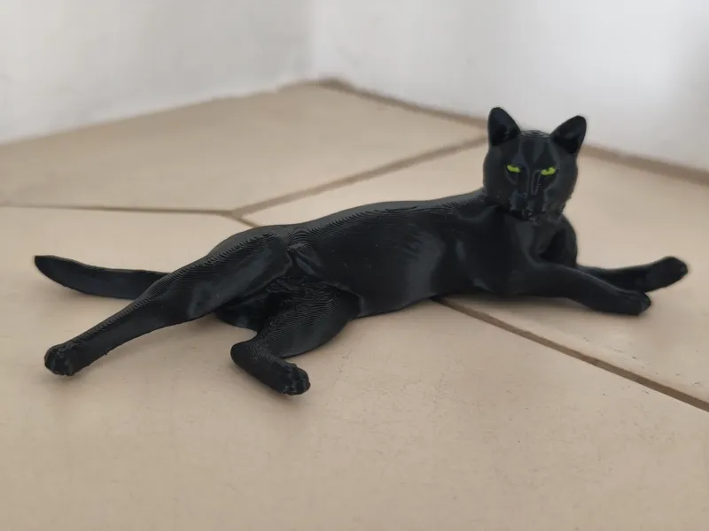 Black cat lying on the floor