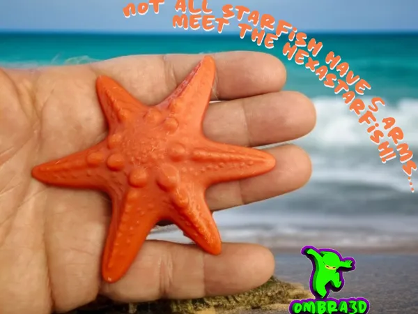 https://makerworld.bblmw.com/makerworld/model/US7353df454f65ce/design/2025-05-09_46e6cd001b9c28.png