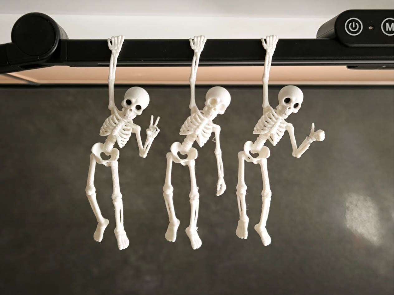 Hanging Skeleton Buddy - 1