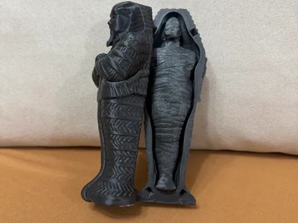 https://makerworld.bblmw.com/makerworld/model/US7355e74030417/design/2024-12-11_e1d9ba503ae34.jpg