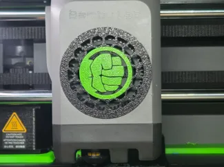 P2S Fan Cover Hulk