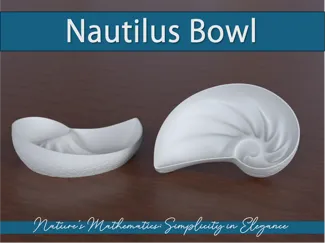 Nautilus Bowl