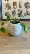 0.2mm layer, 6 walls, 40% infill