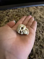 Bouton tête de mort (vis 4 mm) — photo 4