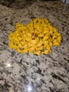 174 Chicks