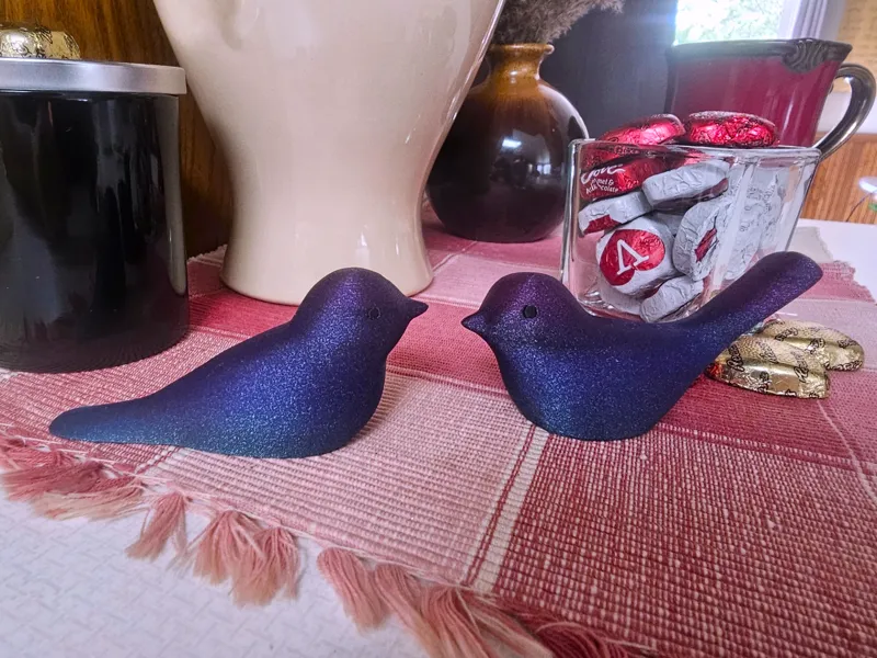 Comfort Birds