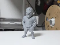 0.08mm layer, 2 walls, 15% infill