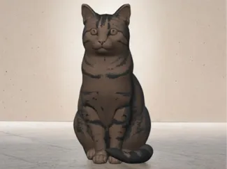 cat