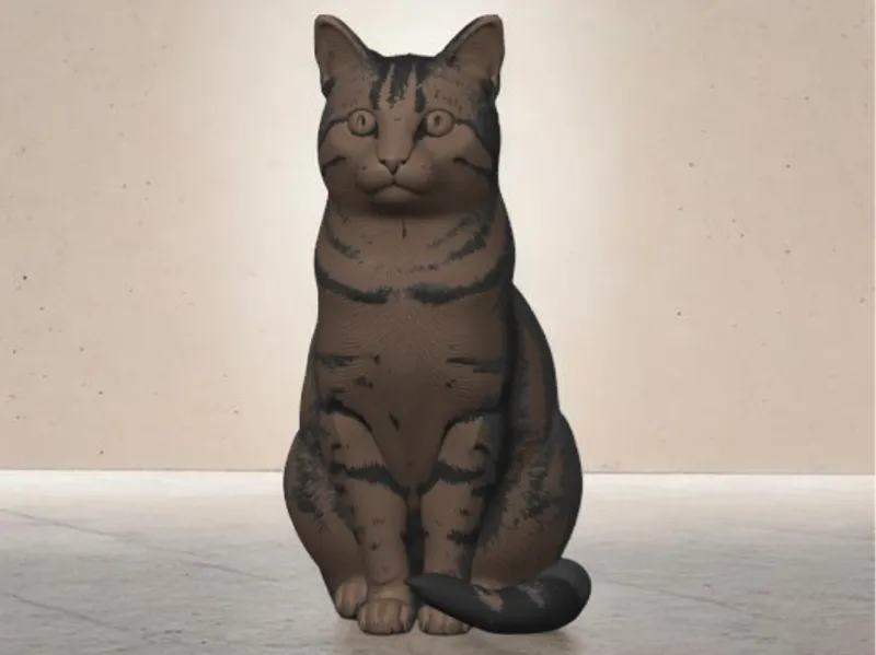 cat