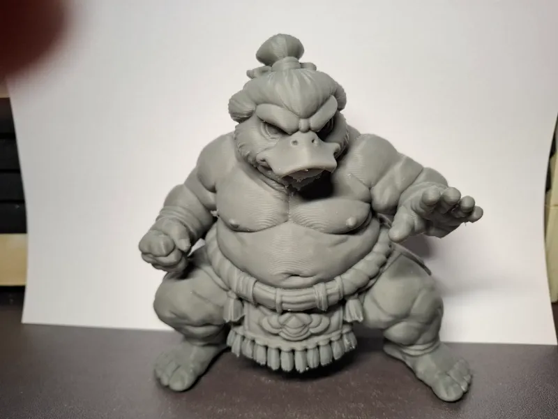 Duck Sumo
