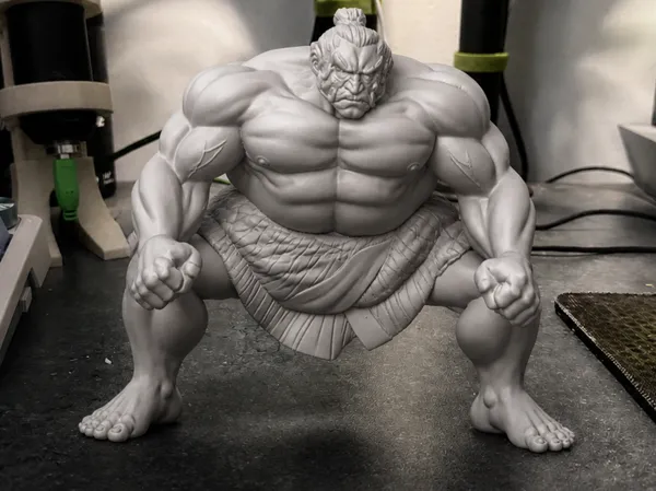 https://makerworld.bblmw.com/makerworld/model/US736f00576cea50/design/9ead69ffdc8f7409.png