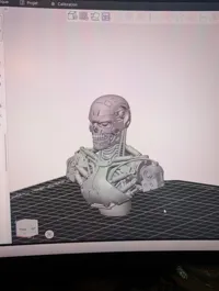 Buste Terminator — photo 3