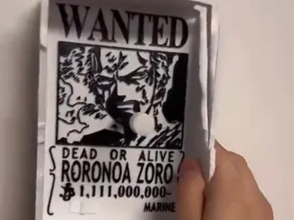 roronoa zoro wanted