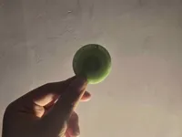 0.2mm layer, 6 walls, 25% infill