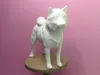 A goofy Shiba Inu