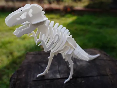 Tyrannosaurus Rex Skeleton