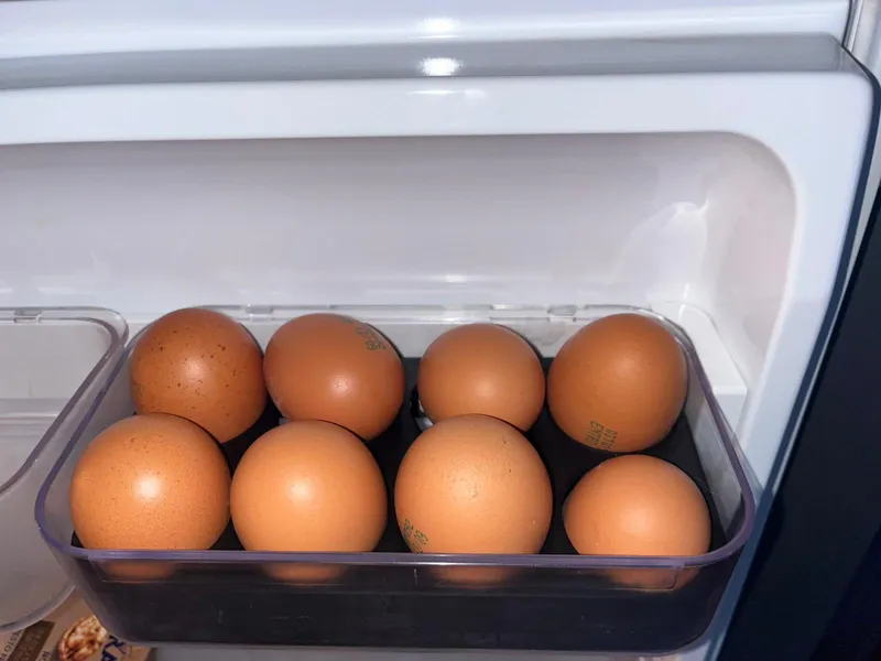 Parametric Fridge Egg Holder - Eggs Organizer