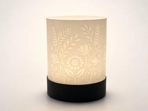 https://makerworld.bblmw.com/makerworld/model/US73877def4de147/design/38152a5d30a6cdec.png