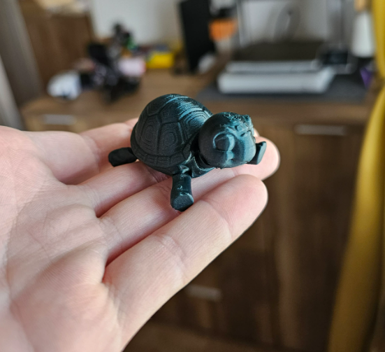 Miniatura 1 do modelo 3D Tiny Turtle