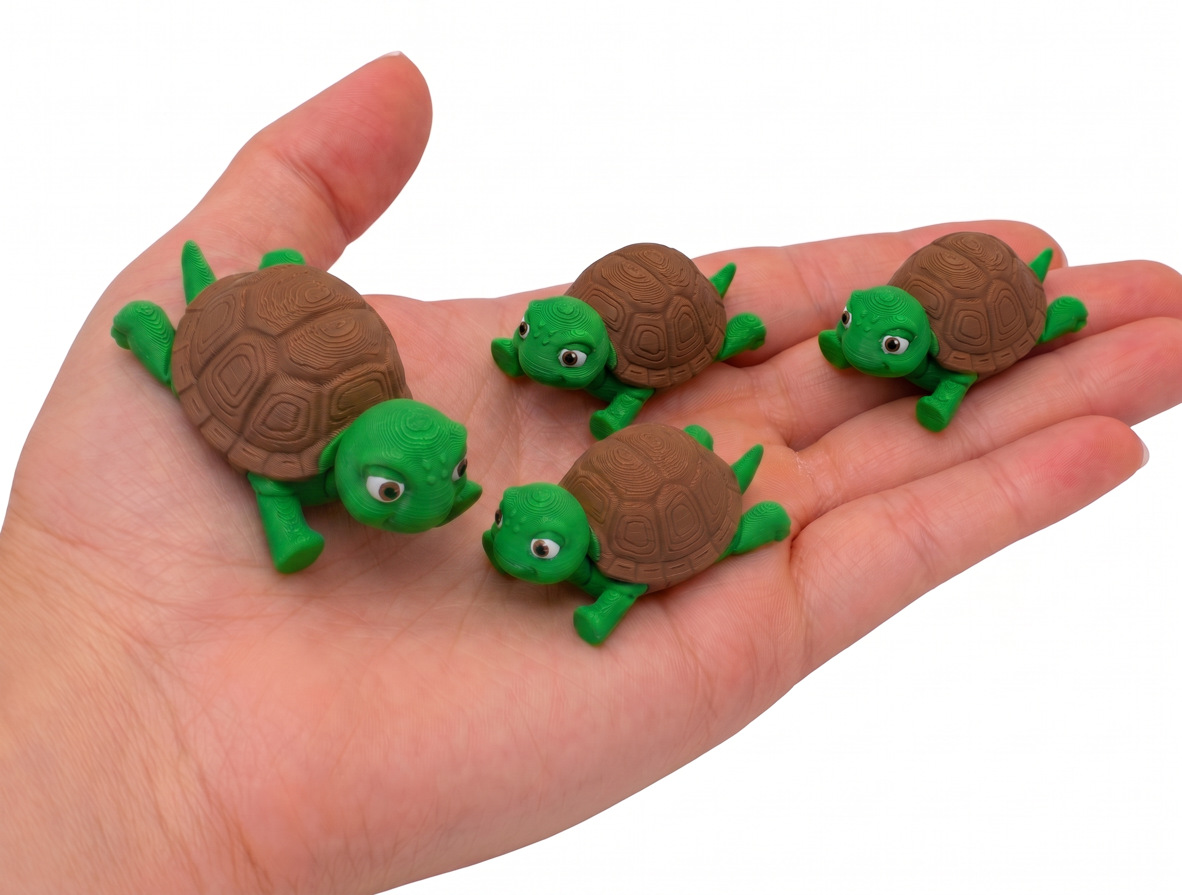 Miniatura 2 do modelo 3D Tiny Turtle