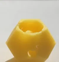 12-sided pot (with holes): 0.2mm layer, 2 walls, 17% infill