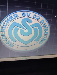 Logo MSV Duisbourg — photo 2